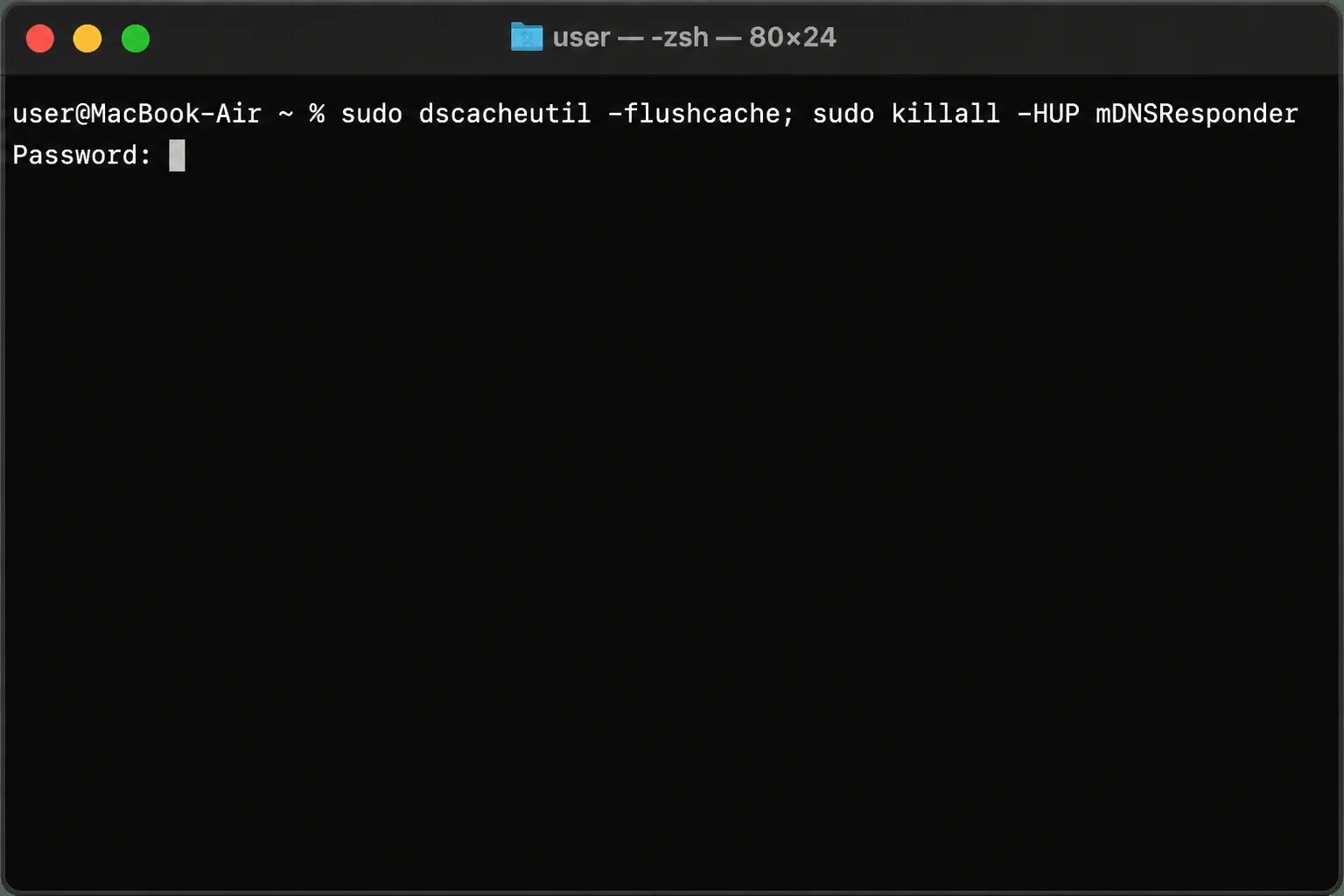 macOS Terminal showing the DNS flush command being run
