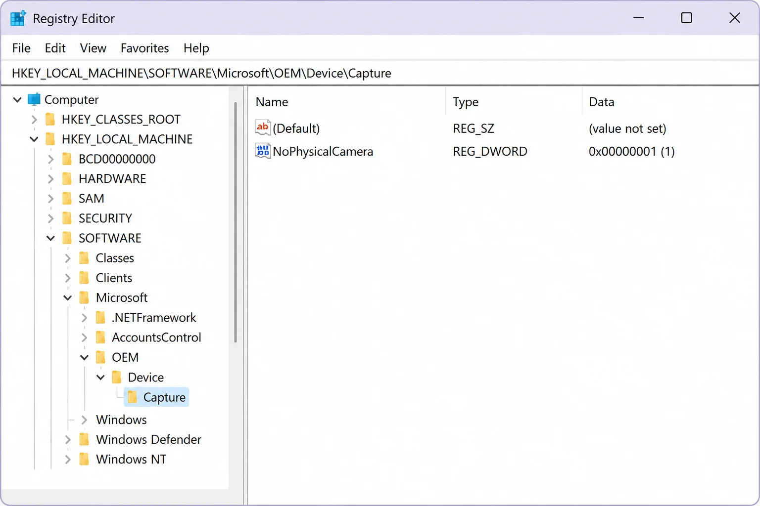 Registry Editor with the path HKEY_LOCAL_MACHINE\SOFTWARE\Microsoft\OEM\Device\Capture entered in the address bar