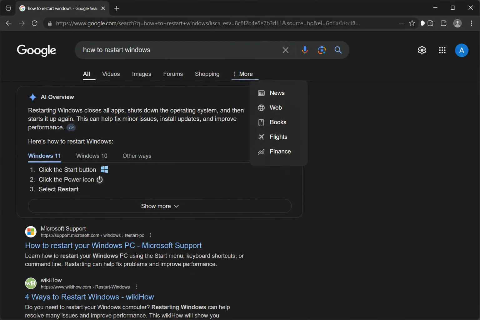 Google Search results page showing an AI Overview panel at the top, with the category bar below it and "More" tab highlighted, revealing the "Web" filter option in the expanded menu